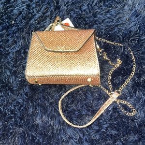 Bronze purse
